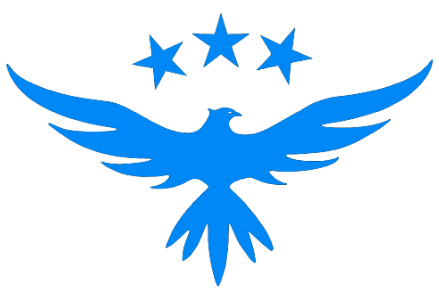 Falcon Educational Institute 